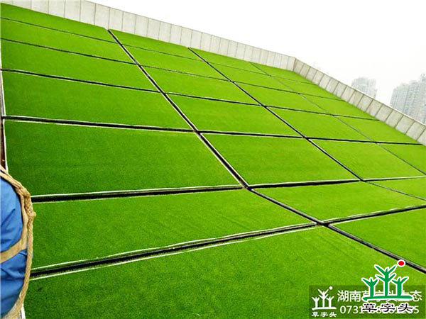 湘潭市博物館與規(guī)劃館，屋頂人造草皮綠化施工案例